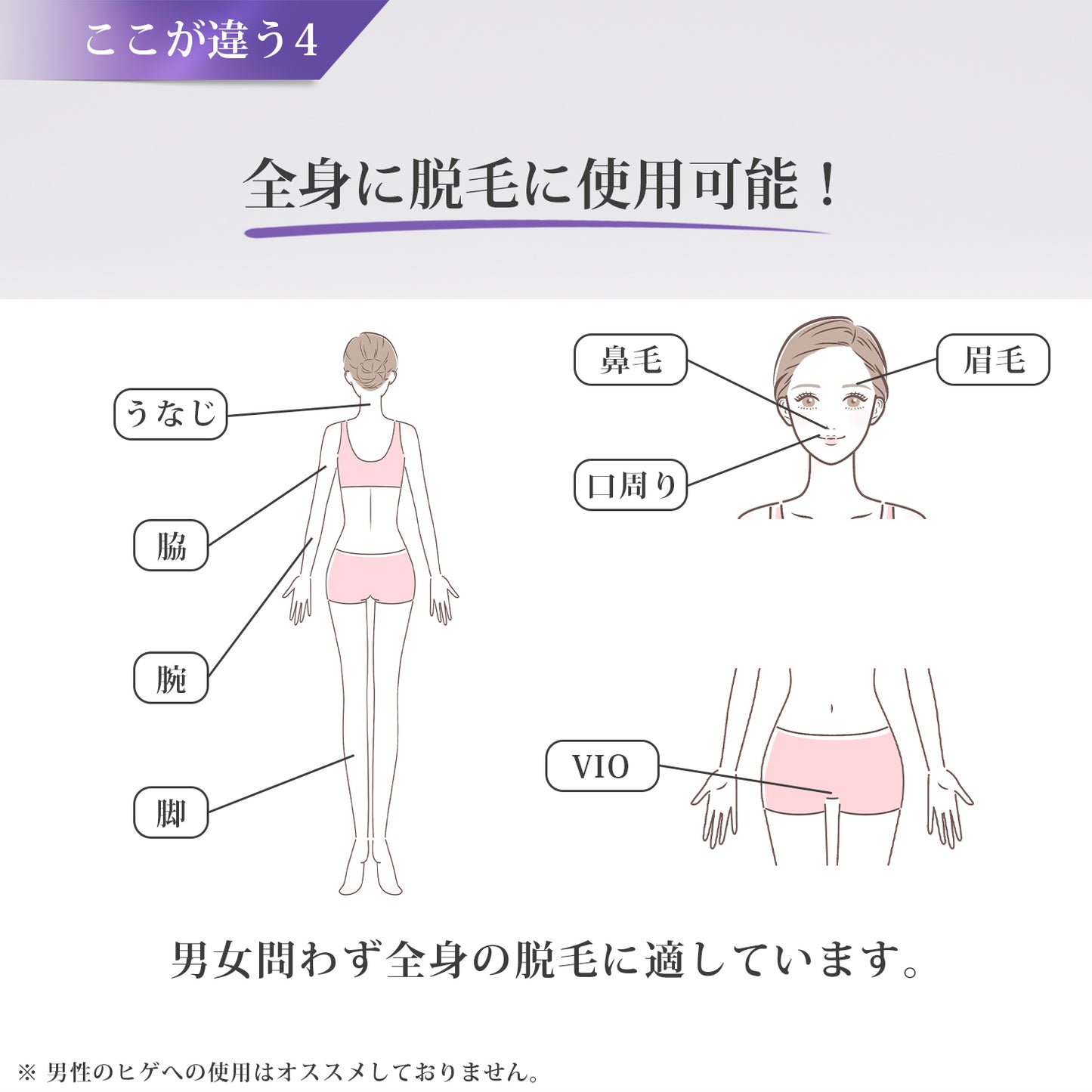 Violet 脱毛用ハードワックス ローズ (プロフェッショナル用)