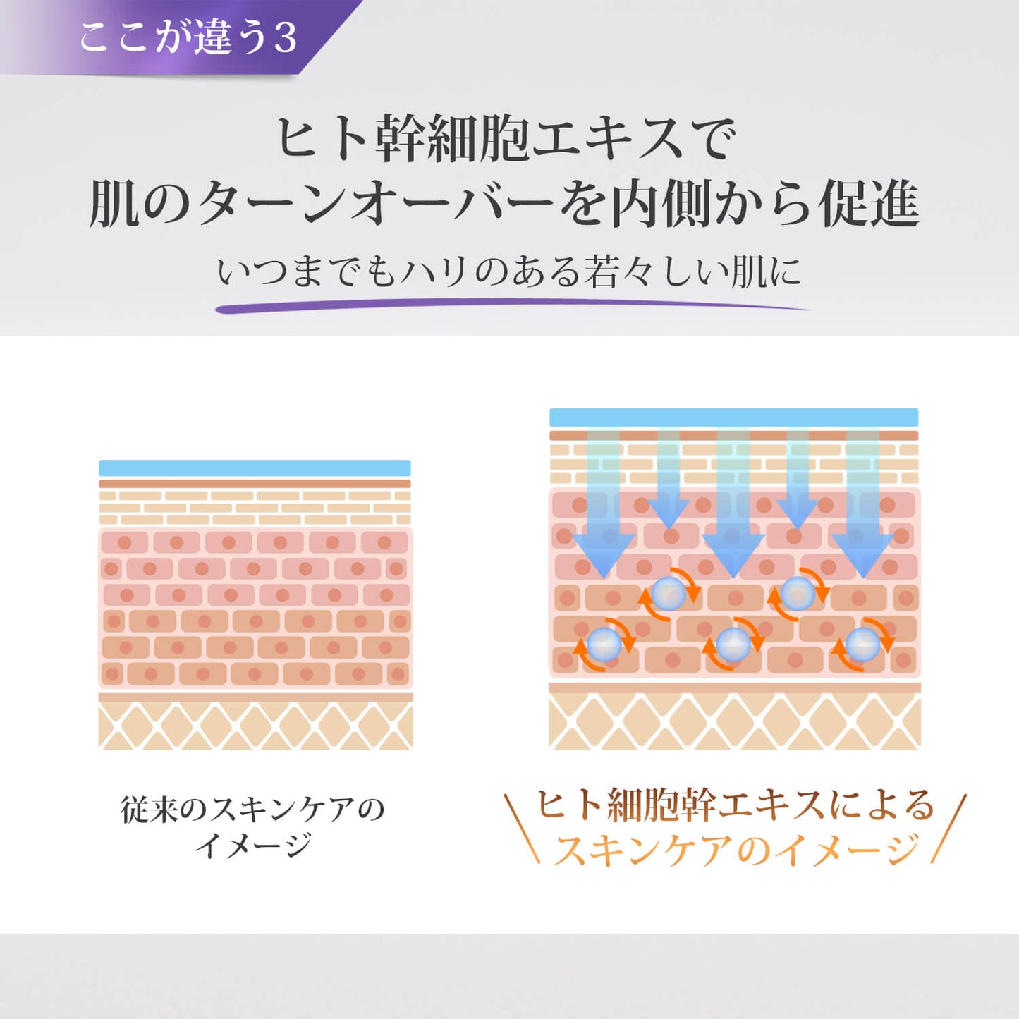 Violet デリケートゾーン専用オールインワンゲルお試し用 (15ml)